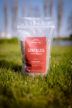 Lentilles Corail 450 gr