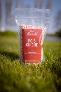 Pois Chiche 450 gr