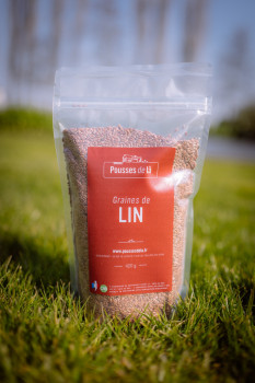 Graines de lin 420gr