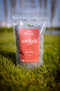 Lentilles verte 450 gr